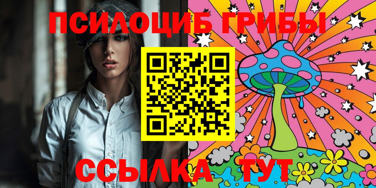 Галлюциногенные грибы Psilocybe Аша