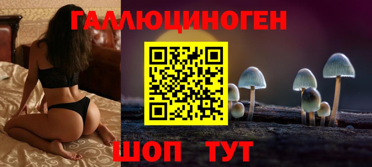 купить наркотик  Псилоцибиновые грибы Magic Shrooms  Вход с VPN  Аша 